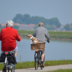 【コロナ】自粛期間に疲れたのか？歩行者やランニングする人が増えた