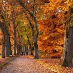 【バイクウエア】バイク教習を秋に受けるときのおすすめの服装をお伝えします